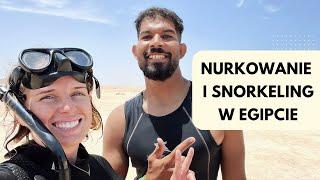 ️ Wakacje na Malediwach? Może tych w Egipcie?  // Najlepszy snorkeling i diving w Marsa Alam