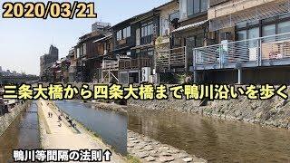 【春の京都ひとり旅⑤】三条大橋から四条大橋まで鴨川沿いを歩く【2020/03/21】