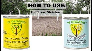 How To Use IV Organic:  3-in-1 & White Wash Products