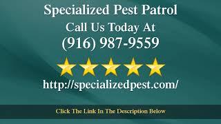 Specialized Pest Patrol Folsom Remarkable Five Star Review by Ashley