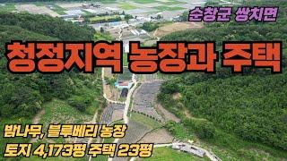 (180) 청정 지역의 넓은 농장과 주택