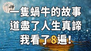 佛禪：一隻蝸牛的故事，道盡了人生真諦，看完久久不能平靜