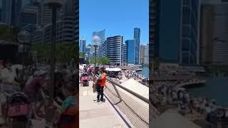 Australia Day Special Sydney Harbour #tamil #tamilnews #tamilnadu #tiktok #vlog #shorts #viral #vlog