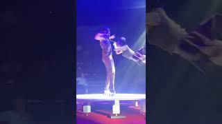 Mind blowing Circus Act #shorts #flipcircus