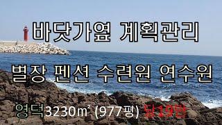 NO.97  바닷가 계획관리토지. 영덕 축산항 인근. 펜션 별장 수련원 연수원 등. 3230㎡(977평) 당19만