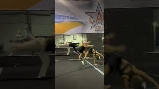 Training with  Angel Rice #shortvideo  #gym #Angel Rice #indybugg1