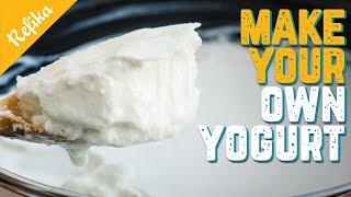 The BEST and HEALTHIEST Homemade Yogurt Recipe! Refika's Tips and Tricks to Make the Best Yogurt!