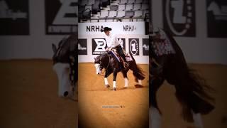 ⭐️229⭐️ 'Golden Coins', the Stallion and Kole Price!#nrha #shorts #reining #reininghorse #fyp