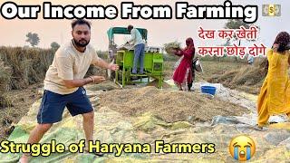 Our INCOME From FARMING  | Struggle of a Farmer in Haryana 