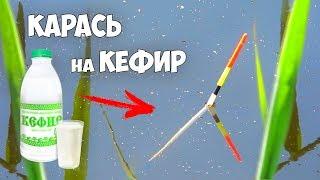 Добавь КЕФИР и КАРАСЬ твой!!! Ловля КАРАСЯ на ПОПЛАВОЧНУЮ УДОЧКУ в камышах
