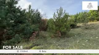 Bolu Turizm İmarlı Arsa ve Tesis