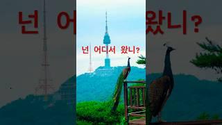 사실은 아니지롱~