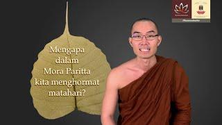 Mengapa dalam Mora Paritta kita menghormat matahari? Dhammakatha Bhante Nanukkamsa