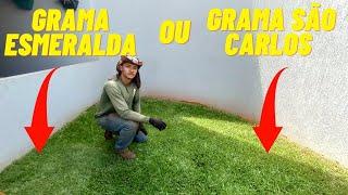 Grama esmeralda ou Grama São Carlos, Qual você prefere ?