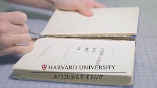 Harvard conservators repair books