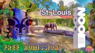 St. Louis Zoo: Free Admission! [Is It Worth It?] (2022)