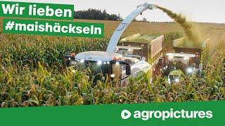 Claas Maisernte Event 2020 | Maishäckseln mit Claas Jaguar 990 TT, Axion 960 TT und Xerion 5000