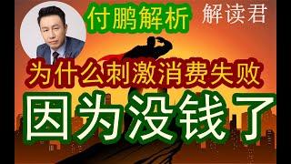 付鹏讲解为什么消费起不来？为什么需求不足？因为没钱了！年轻人赚不到钱，现在也不交社保了，未来应该怎么办？！#中国经济