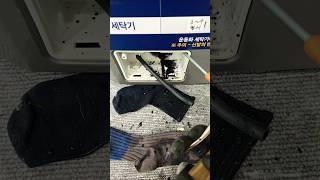 필수 특별 세탁기 필터청소 (냄새 모레 악취주의) !!!