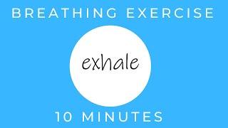 How To Stop a Panic Attack | Breathing Exercises for Stress Relief | TAKE A DEEP BREATH