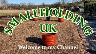 Introduction to my smallholding - homesteading -  self-sufficiency - Smallholding UK