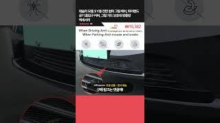 오늘핫딜! 테슬라 모델 3 Y용 전면 범퍼 그릴 메쉬, 하이랜드 공기 흡입구 커버, 그릴 가드 보호대 방충망 액세서리 ₩15,382 53% 할인