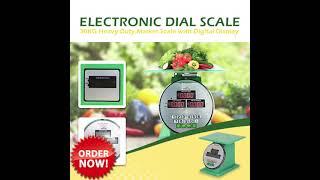 30KG Heavy Duty Market Electronic Dial Scale with Digital Display