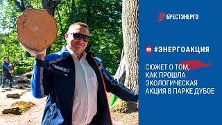 Энергетики провели акцию в парке Дубое