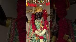 #mahakali#pavagadh#bhadrakali #pavagadhhill#maa #mahakali#kalika #darshan#mataji#matadi#umeshchandra