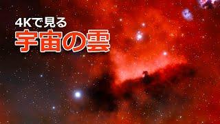 なぜ星雲はカラフルで美しいのか？【JST 午後正午】 [4K]