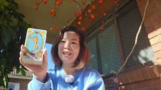 Thông điêp Gia Tiên gửi đến Bạn/Magic #tarot #soultalkbychloe #dearChloe
