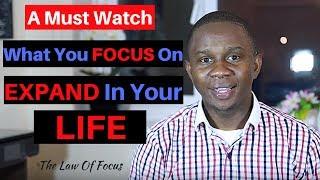 Law of Focus: What You Focus on Expand In Your Life