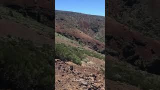 Small Hills and nice Sightseeing in Tenerife #shorts