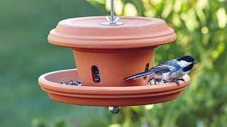 DIY terra-cotta bird feeder