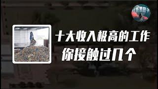 十大收入极高但没人要做的工作，换次灯泡居然25万，收破烂都能月薪上万？