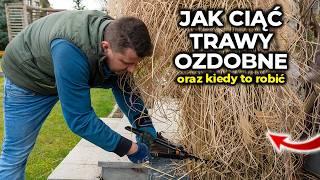 Cięcie traw ozdobnych 2024. Jak i kiedy ciąć trawy ozdobne.