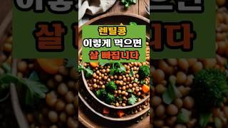 렌틸콩 이렇게 먹으면 살 빠집니다#건강지식#당뇨관리#혈관관리#치매예방#50대#건강식#렌틸콩#다이어트