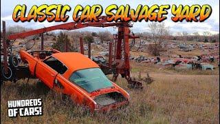 AWESOME OLD SCHOOL JUNK YARD! Hundreds of CLASSIC CARS!!! Classic Car Salvage Yard.