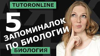 5 ЗАПОМИНАЛОК по биологии к новому учебному году | Биология