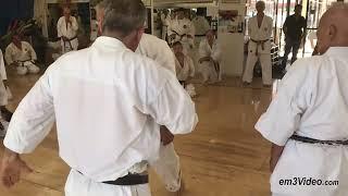 TAK KUBOTA 2019 Seminar - Kata, Kumite & Kubotan