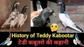 Teddy Kabootaro Ki Kahani. History Of Teddy.