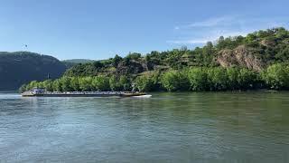 Mittelrheintal - Tankmotorschiff Adrian auf dem Rhein bei Boppard | Juni 2021