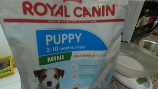 Feeding the Puppies with Royal Canin Puppy Mini