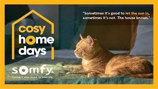 Somfy Smart Blinds - Let The Sun In... NOT! #CosyHomeDays