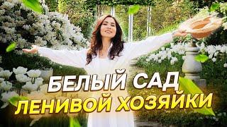 18 ЦВЕТУЩИХ многолетников для участка 6 СОТОК (белого цвета!)