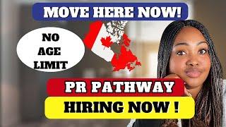 Breaking News! Canada Wants International Workers NOW! Massive Hiring Opportunities!