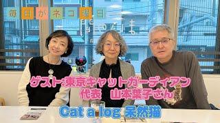 毎日がネコ曜日 日曜日版 ゲスト：東京キャットガーディアン 代表 山本葉子さん& Cat a log「呆然猫」