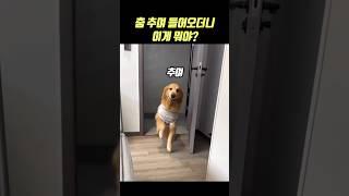 춤추며 들어 오더니 갑자기! 오잉?!