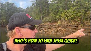 THIS Is How To Quickly Find Bass If You Are Struggling To Locate Them…