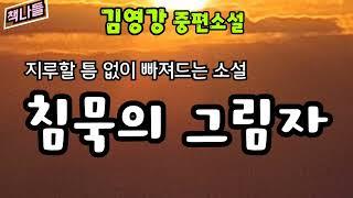 이런 맛에 제가 소설에 퐁당!~ 빠져드나 봅니다. | 침묵의 그림자 | 김영강